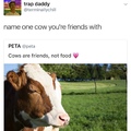 what's a cow