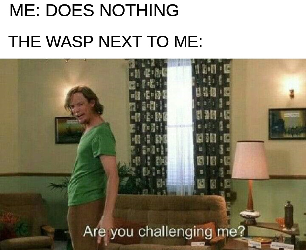 wasps are meany pants - meme