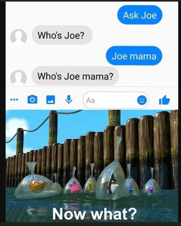 Joe mama’s pussy stank - meme