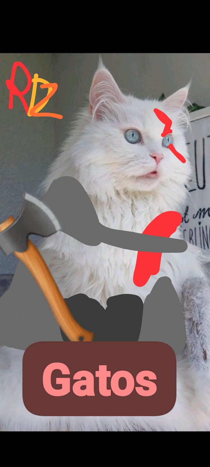 Kratos gato - meme