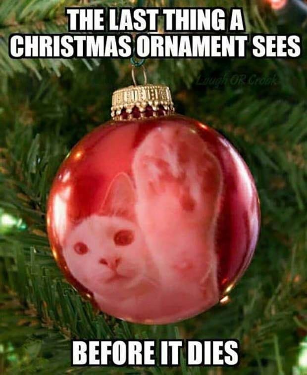 How ornaments die - meme