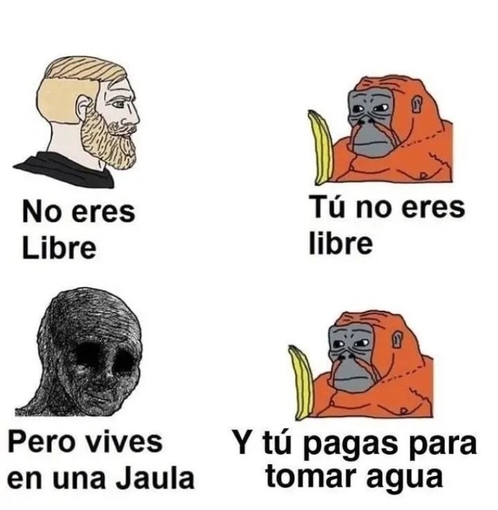 Hasta el agua uno tiene que pagar - meme