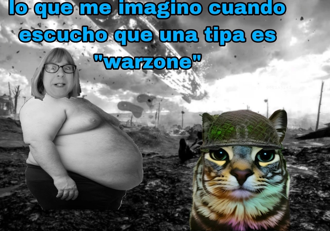 Warzone - meme