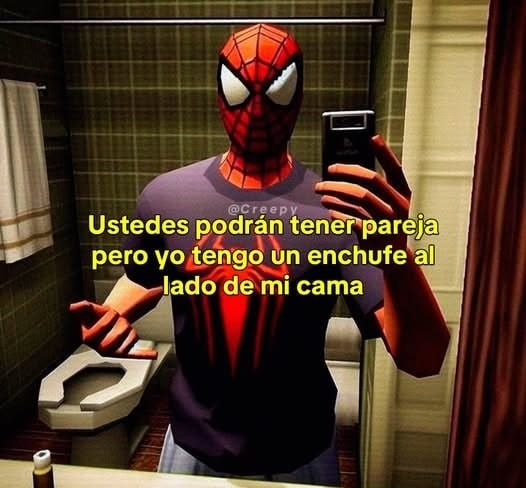 El enchufe en mi cama: mi única pareja estable - meme