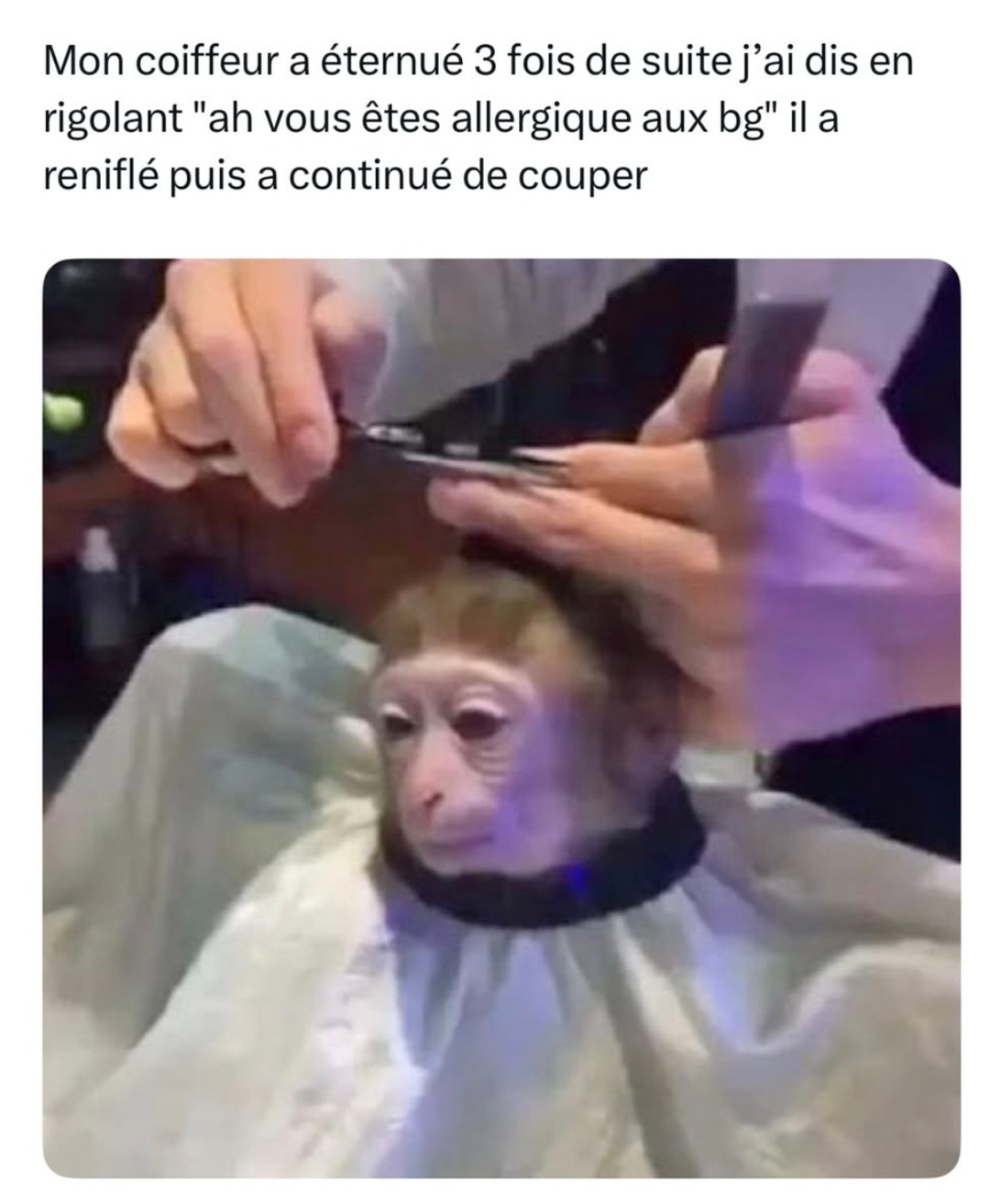 Mème de coiffeur - meme