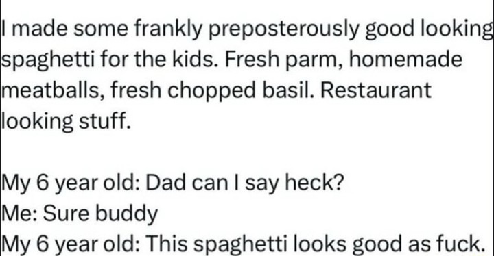 Now that's a meatball - meme