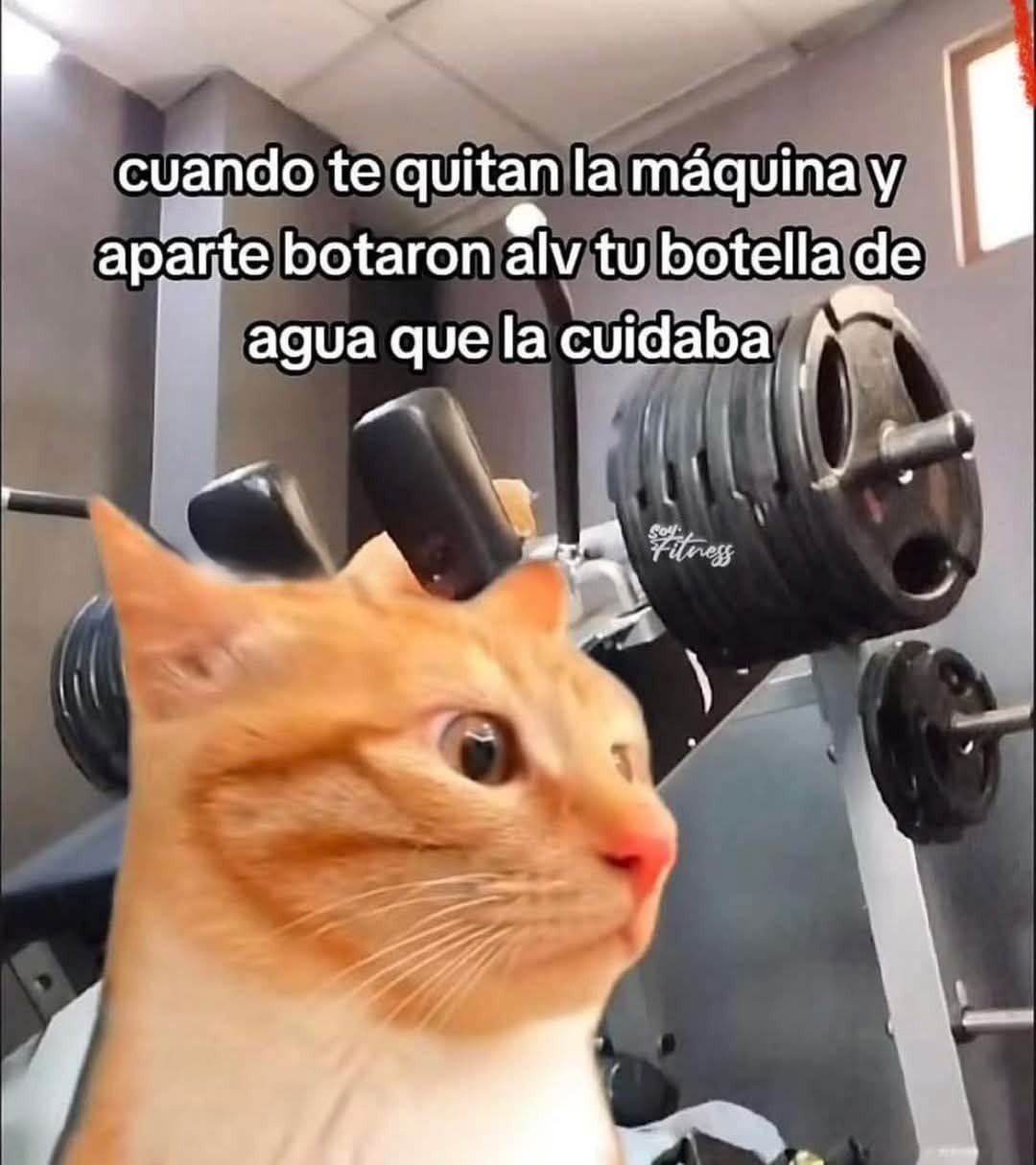 Me quitaron la máquina y mi botella guardiana también... traición - meme