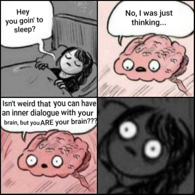 You are your brain - meme