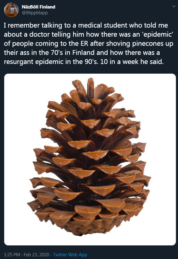 dongs in a pinecone - meme