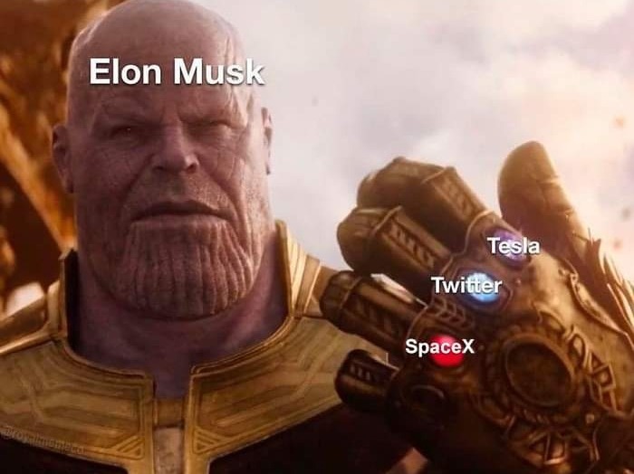 Thanos Musk - meme
