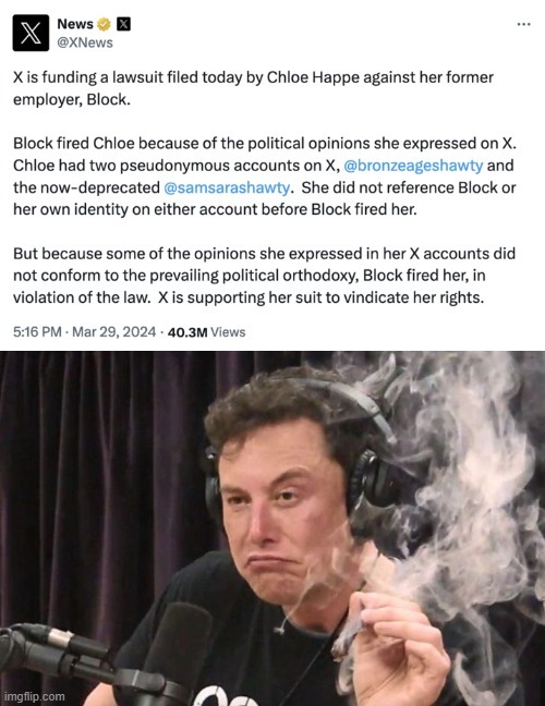 BronzeAgeShawty Elon Musk lawsuit meme