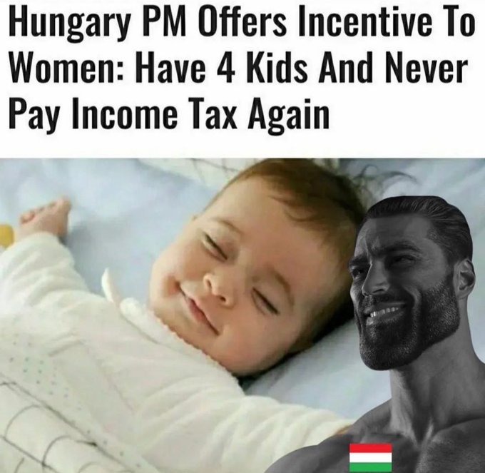 Moving to Hungary. - meme