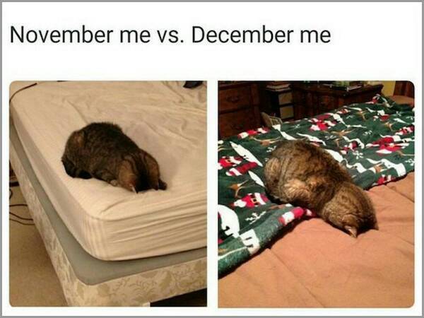 The same just into the holidays - meme