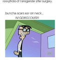 Transgender is fake