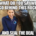 dirty seal