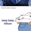 Beep beep cabbage