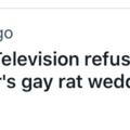 They made mah nigga Mr. Ratburn gay