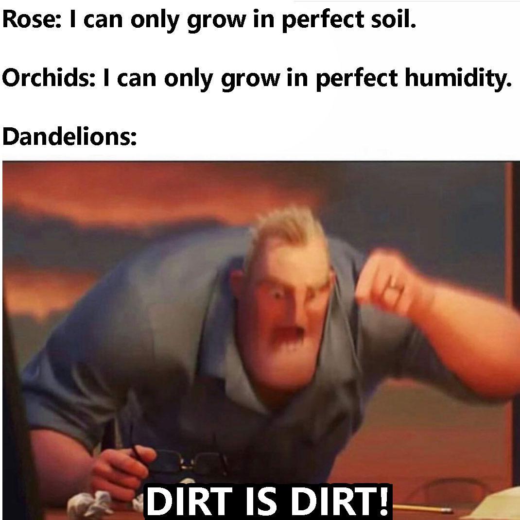 Dirt *exists* , dandelions: it’s free real estate - meme