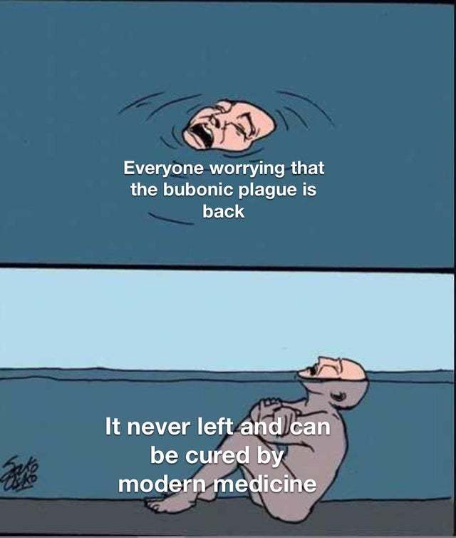 Everyone worrying that the bubonic plague is back - meme