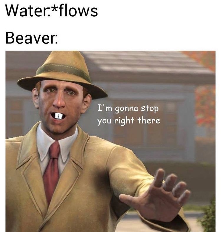 beaver time - meme