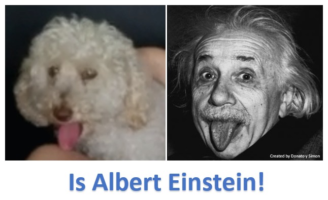 Is Albert Einstein - meme