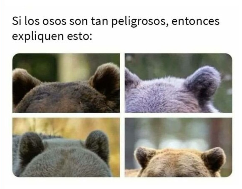 Jajaja - meme