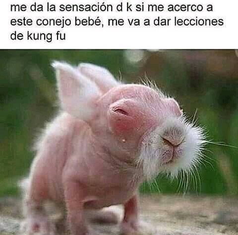 - - meme