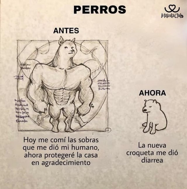 el perro antes y después de la croqueta maldita - meme