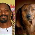 Snoop "dog"