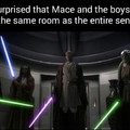 The senate