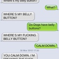 dogs be texting
