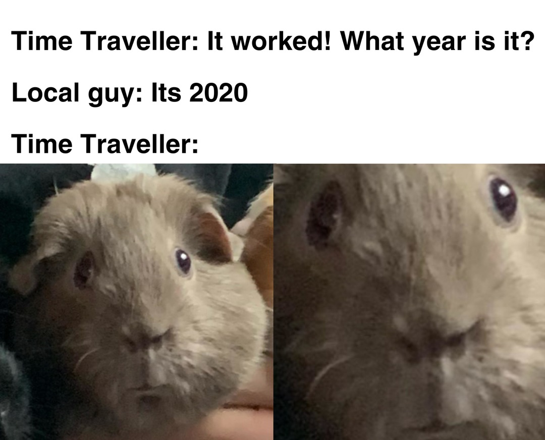 2020 stay away - meme