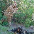 Pega essa FBI