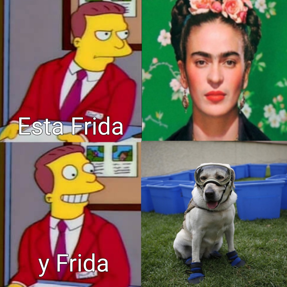 Contexto: Frida era una perrita que ayudo a rescatar a muchos sobrevivientes en el terremoto del 2017 - meme