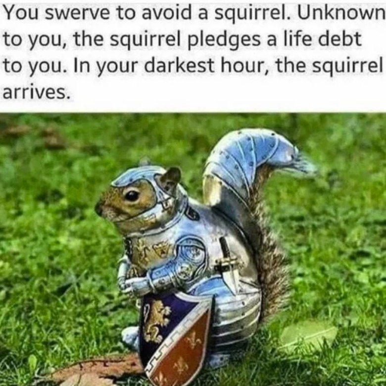 Wholesome squirrel - meme