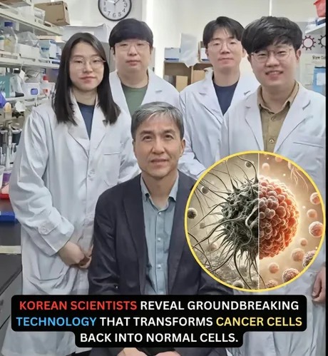 Groundbreaing technology that transforms cancer cells back into normal cells - meme