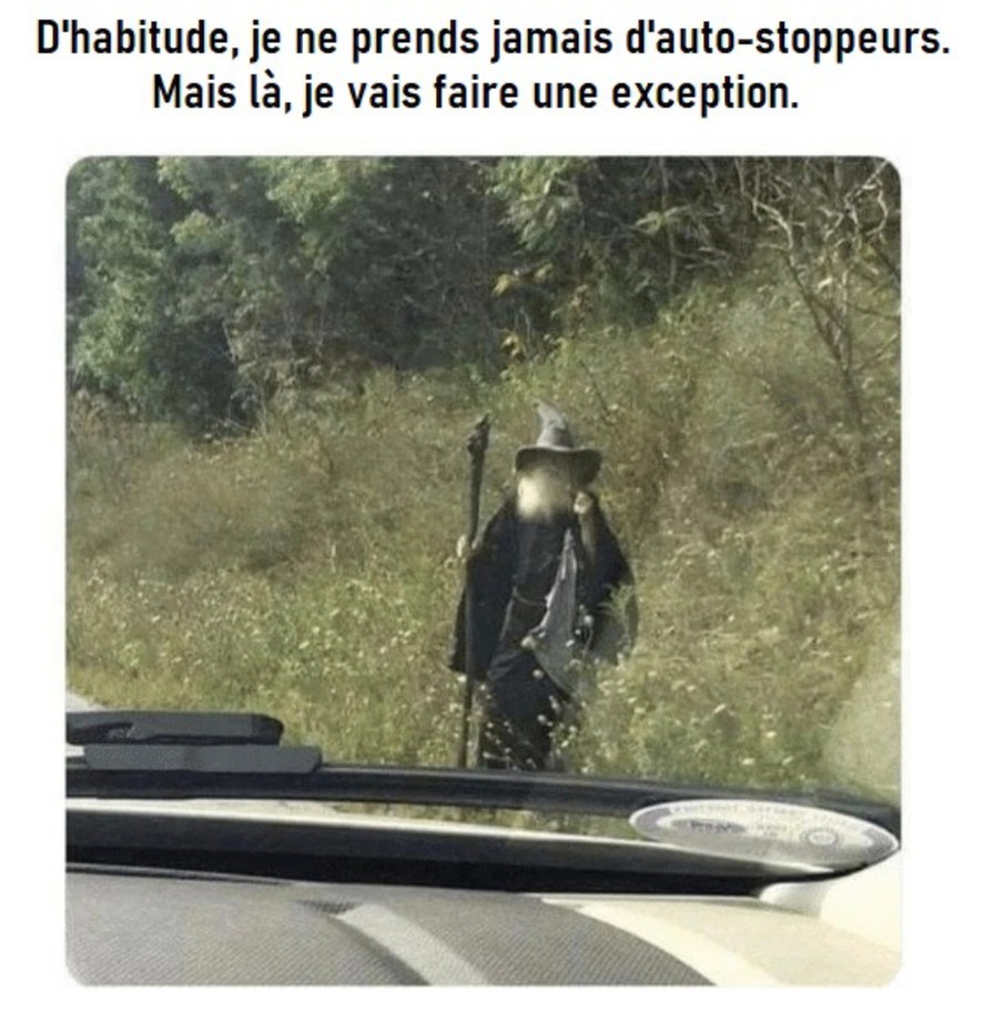 Le seul auto-stoppeur qui m'a convaincu direct - meme