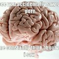 Gay brain