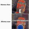 article 13