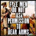 Shall not be infringed
