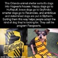 Animal shelter sorting dogs into Hogwarts houses
