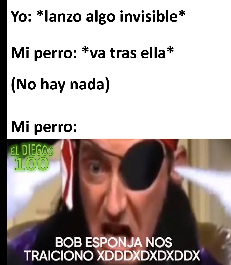 Top memes de Bob Esponja Nos Traicionó en español :) Memedroid