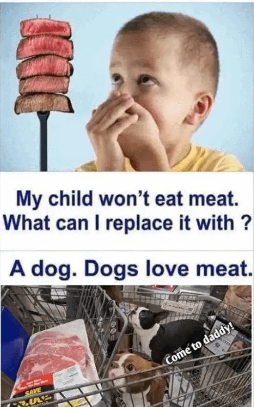 Trying to raise a vegetarian kid while owning a dog - meme