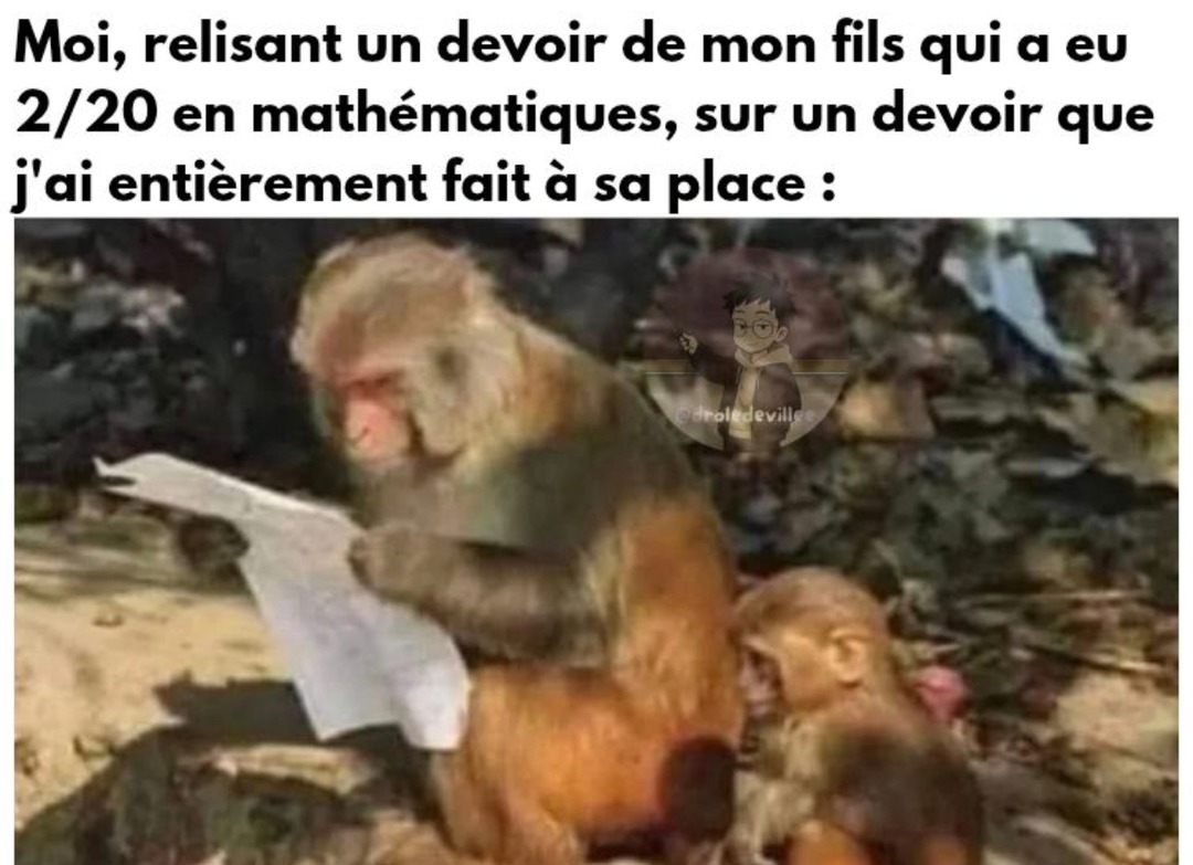 Quand ton fils a 2/20 alors que c’est TOI qui a fait le devoir - meme