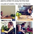 Give me the plant.
