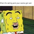 wet socks