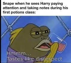 Harry... Potter - meme