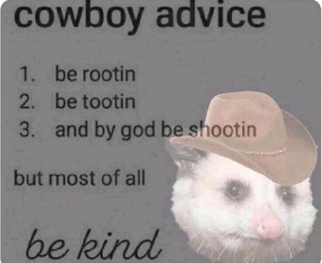 Cowboy is kind - meme