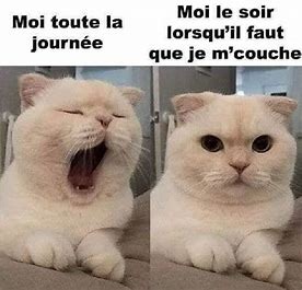 Tellement vrai - meme