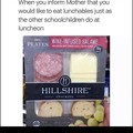 "Hillshire snacking" smh